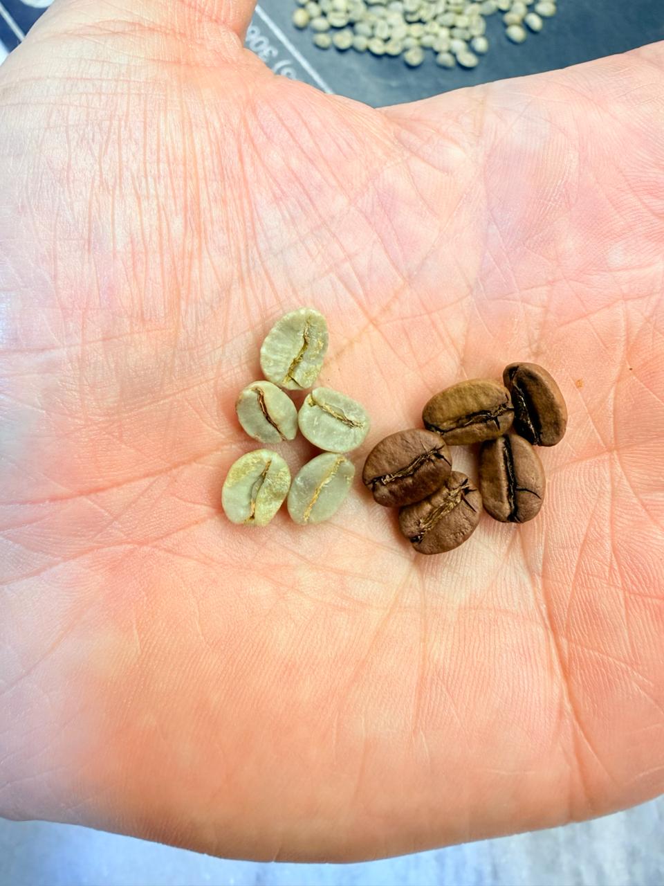 Roast color guide used to verify batch consistency